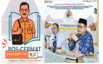 Optimalisasi Pengelolaan Dana BOS Dengan Pendekatan Data Minning