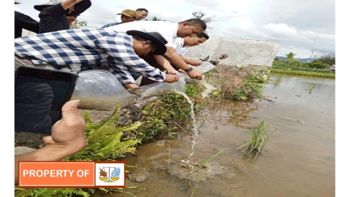 Dukung Usaha Perikanan Pemuda, Parsoban Gelar Tabur Benih Ikan Nila dan Penyerahan Bantuan Pakan