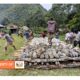 Tradisi Bakar batu warga Papua adalah moment kebersamaan dan kebulatan tekad.