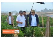 Kunker Kementan RI di Food Estate Kabupaten Humbahas