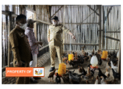 Bupati Pakpak Bharat kunjungi BUMDES “Nduma Karina” desa siempat Rube 2