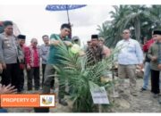 Bupati Batang Hari Mhd Fadhil Arief,SE Secara Simbolis Penanaman Bibit Sawit Replanting Tahab II