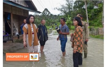 Wakil Bupati Junita Rebeka Marbun, SH, MAP meninjau bencana tanah longsor dan Banjir di Kecamatan Pakkat