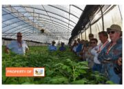 Ketua DEN bersama Delegasi Belanda Berkunjung Ke TSTH2 Humbahas