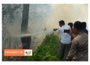 Bupati Humbahas Pimpin Padamkan Kebakaran Hutan di Perbukitan Danau Toba