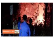 Hutan dan Lahan di Paranginan Dilalap Sijago Merah