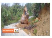 BPBD Humbahas Tanggap Atas Longsor Pada Musim Hujan