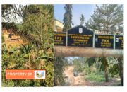 Dugaan Galian C Ilegal di Tanjung Harap Serba Jadi Sergai Milik Pribadi Meresahkan Warga Pengguna Jalan Umum