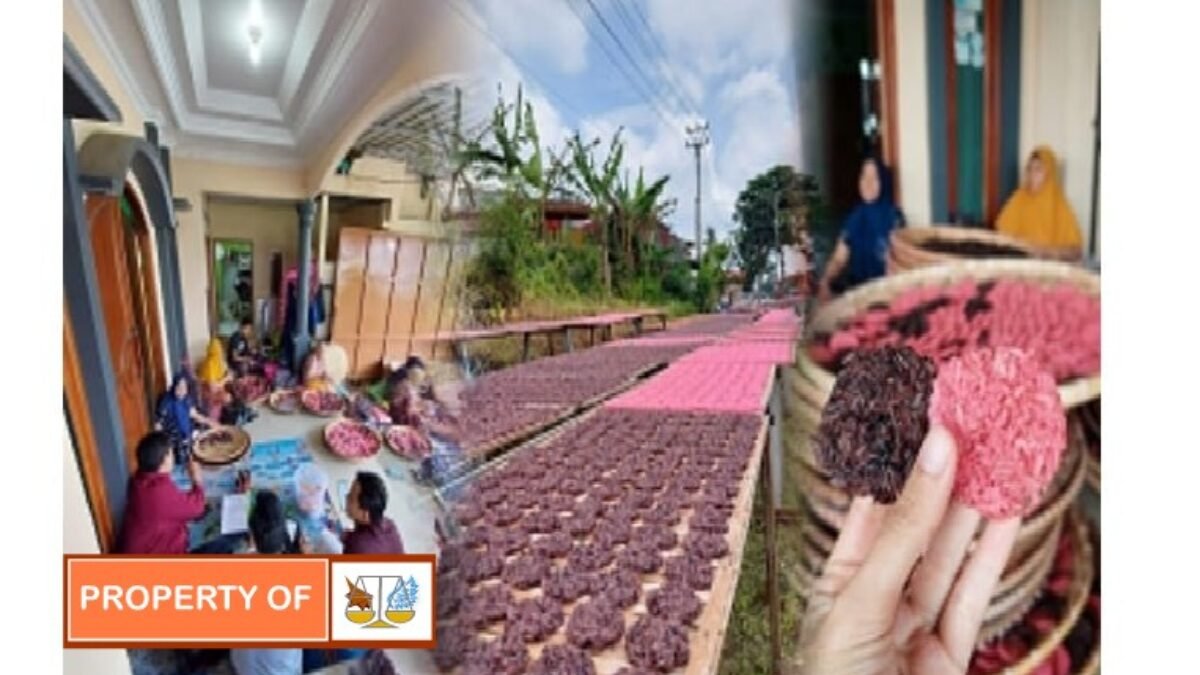 Ini Cara Dosen IPB University Bantu Tingkatkan Produksi UMKM Rengginang di Sukabumi