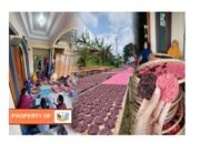 Ini Cara Dosen IPB University Bantu Tingkatkan Produksi UMKM Rengginang di Sukabumi