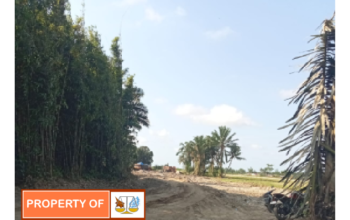 Galian C Ilegal Desa Araskabu Kecamatan Beringin Meresahkan Warga APH Diminta Segera Bertindak