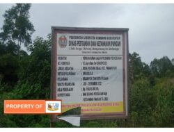 Pengerasan Jalan Perkebunan Yang Bersumber Dari Dinas Pertanian Humbahas Diapresiasi Warga Setempat