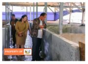 Bupati Humbahas Kunker Ke Unit Pembibitan Peternakan dan Balai Benih Ikan