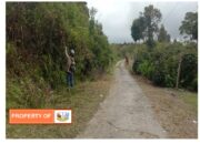 Upaya Menjaga Kebersihan Lingkungan Pemdes Sihonongan Kecamatan Paranginan Lakukan Bakti Rutin