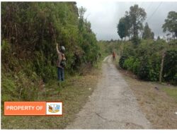 Upaya Menjaga Kebersihan Lingkungan Pemdes Sihonongan Kecamatan Paranginan Lakukan Bakti Rutin