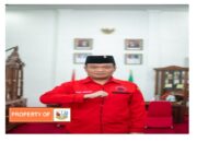 Ketua DPC PDIP Humbahas Klarifikasi  Video Viral Main Lato-Lato Pakai Bawang Putih