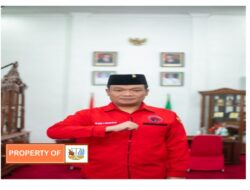 Ketua DPC PDIP Humbahas Klarifikasi  Video Viral Main Lato-Lato Pakai Bawang Putih