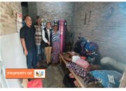 Organisasi Hipmi peduli karawang wakil sekertaris I atas nama putri pasaribu SM,