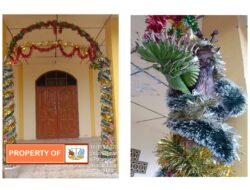 Batang Pisang Sebagai Hiasan Natal Berbuah di Gereja HKBP Bahalimbalo Paranginan