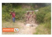 Akibat Hujan Deras Jembatan Lobu tua KecamatanLintongnihuta  Terputus