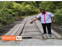 Seknas Jokowi Berharap Agar Pemkab Humbahas Perbaiki Jembatan Lae Luhung Desa Sionom Hudon Runggu.