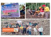 Pemdes Hilifarokha Lawa Lakukan Kegiatan Tanam Jagung Bersama Dengan Warga.