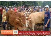 Pasar Hewan Kajen Pekalongan Sepi Jelang Idul Adha