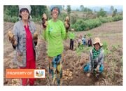 FE Tingkatkan Ekonomi dan Ciptakan Lapangan Kerja