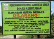 LAHAN PT SAB/KSU AMELIA YANG DIEKSEKUSI DINAS KEHUTANAN SUMUT KEMBALI BEROPERASI