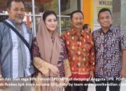 Verifikasi Inventarisir Aset dinas pendidikan kabupaten Brebes.