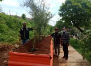 AMPHIBI LAKUKAN UJI COBA PENANAMAN POHON DI AREA TPA BANTAR GEBANG