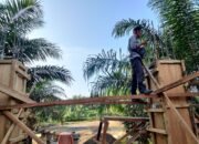 Proyek Siluman Dana DAK Muncul di Desa Bukit Kemuning Mersam Tanpa Plang Proyek.