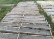 Pekerjaan Pagar Sawah Desa Kembang Seri Baru Diduga Proyek Siluman