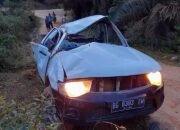 Sopir Tewas, Empat Karyawan PT BTK Sub Kontraktor PT JINDI SOUTH JAMBI Mengalami Kecelakaan Tunggal.