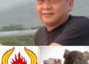 Ketua JMPD : Zuli Zulkipli,SH “Dana Hibah KONI di Makan Rayap”