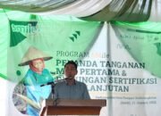 Pemda Batanghari Menyediakan Bibit Sawit Bersubsidi Untuk Masyarakat