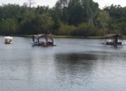 Danau Letang Indah Makmur Muara Bulian.
