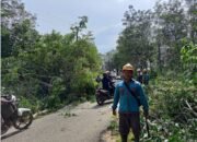 PLN Berusaha Memperbaiki Pelayanan Pada Masyarakat