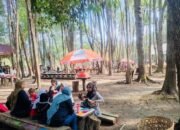 Rakorda DPD Partai NasDem Batanghari Digelar di Alam Terbuka, Bakhtiar Pilih Teras Tembesu