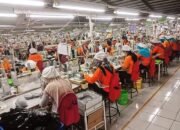 Dinas UKM Nisel Rekrut Tenaga Kerja Sambil Kuliah Di Semarang TA. 2022.