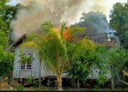 Sijago Merah Mengamuk, Satu Unit Rumah Warga Desa Olak Hangus Terbakar