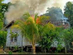Sijago Merah Mengamuk, Satu Unit Rumah Warga Desa Olak Hangus Terbakar