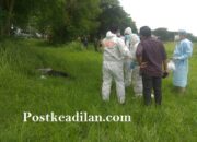 Mayat Membusuk Ditemukan Di Lippo Cikarang Polsek Ciksel Bergerak Cepat