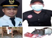 Dana Perawatan Kantor Uang Rakyat di Makan Rayap