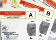 Perbedaan denda tilang karena tidak punya SIM dengan tidak membawa SIM