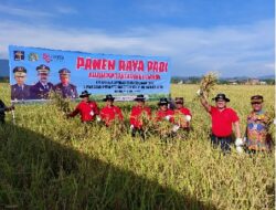 Warga Binaan Terampil, 1,2 Ha SAE Sawah Milik Lapas Banda Aceh Sukses Panen Padi