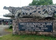 Bertahun Pengunjung Penangkaran Buaya Sepi, Berharap Bantuan Pemerintah