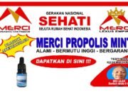 MERCI MINT Gerakan Nasional SEHATI  Sejuta Rumah Sehat Indonesia
