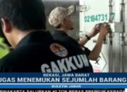 P.21 PT.JH :AMPHIBI APRESIASI GAKKUM LHK JABALNUSTRA