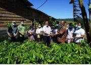 Program Tumpang Sari dan Tanaman Kehidupan di Desa Parsoburan Barat, Kecamatan Habinsaran. PT.Toba Pulp Lestari beri bantuan material.